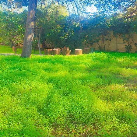 Italomar Con Parcheggio Privato E Dog Welcome Appartamento *