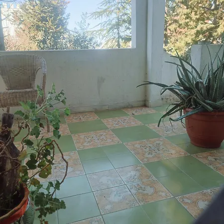 Italomar Con Parcheggio Privato E Dog Welcome *